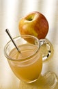 Slings Apple Toddy