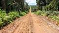 Slipery road condition after rain on palmoil plantation