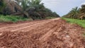 Slipery road condition after rain on palmoil plantation