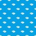 Slipper pattern vector seamless blue