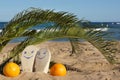 Slippers with emoji smiles are next to oranges on the sand under the palm tree near the sea Royalty Free Stock Photo
