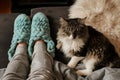slippers on feet, cat purring on lap Royalty Free Stock Photo
