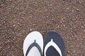 Slippers on ground, For assembling articles Royalty Free Stock Photo