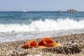 slippers left on the beach. about summer vacation. Royalty Free Stock Photo