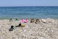 slippers left on the beach. about summer vacation. Royalty Free Stock Photo