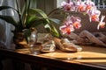 slippers next to a potted orchid on a glass tabletop with soft morning light