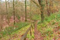 The slippery leaf covered wooden rail footpath down to the Sussex England woods on an Autumn day Royalty Free Stock Photo