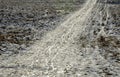 A slippery path or trail on a snowy grassy frozen white plain where children sled and bobsled. the afternoon sun shows a shiny sli