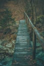 Slippery and scary wooden foot bridge