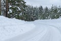 Winter road passing through a pine forest in northern Sweden Royalty Free Stock Photo