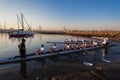 Athletes Rowing Canoes Regatta Royalty Free Stock Photo