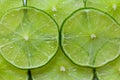 Slised limes green fruits backround texture