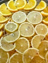 Slises of lemons and oranges