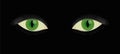 Slit Pupil Green Human Cats Eyes