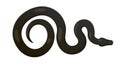 Slither Black Python Snake Top View Vector Icon