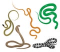 Slither Snakes Top View Vector Icons Set Royalty Free Stock Photo