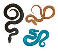 Slither Snakes Top View Vector Icons Set