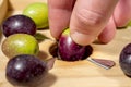 Slitting olives with a traditional wooden slitter