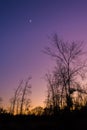 Sliver of a moon at sunset