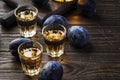 Slivovica - plum brandy or plum vodka, hard liquor, strong drink in glasses on old wooden table, fresh plums, copy space Royalty Free Stock Photo