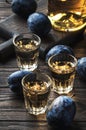 Slivovica - plum brandy or plum vodka, hard liquor, strong drink in glasses on old wooden table, fresh plums, copy space Royalty Free Stock Photo