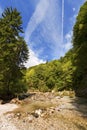 Slizza (Gailitz) River Canyon in Tarvisio Italy Royalty Free Stock Photo