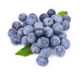 Sloe berry Royalty Free Stock Photo