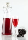 Sloe gin Royalty Free Stock Photo