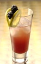 Sloe Gin Fizz