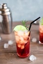 Sloe Gin Fizz Cocktail Royalty Free Stock Photo