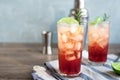 Sloe Gin Fizz Cocktail Royalty Free Stock Photo