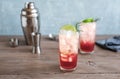 Sloe Gin Fizz Cocktail Royalty Free Stock Photo