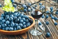 Sloe gin Royalty Free Stock Photo