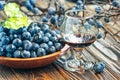 Sloe gin. Glass of blackthorn homemade light sweet reddish-brown liquid. Sloe-flavoured liqueur or wine Royalty Free Stock Photo