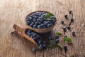 Sloes in bowl Royalty Free Stock Photo