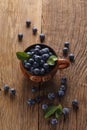 Sloes in bowl Royalty Free Stock Photo