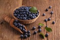 Sloes Royalty Free Stock Photo