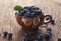 Sloes Royalty Free Stock Photo