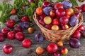 Sloes and plums Royalty Free Stock Photo