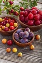 Sloes and plums Royalty Free Stock Photo