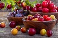 Sloes and plums Royalty Free Stock Photo