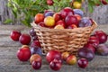 Sloes and plums Royalty Free Stock Photo