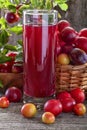 Sloes and plums with juice Royalty Free Stock Photo
