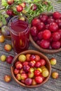 Sloes and plums with juice Royalty Free Stock Photo