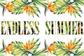 Slogan endless summer jungle frame