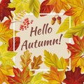 Slogan hello autumn leaves rowan acorn Royalty Free Stock Photo