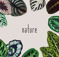 Slogan nature leaves frame