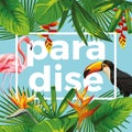 Slogan paradise toucan flamingo tropical leaves blue background