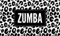 Slogan Zumba dance studio. Multicolor sliced word