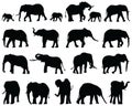 Black silhouettes of elephants